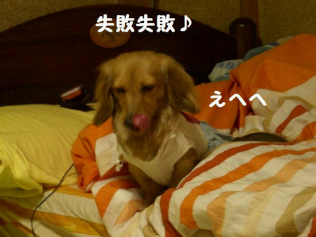 CIMG3685.JPG