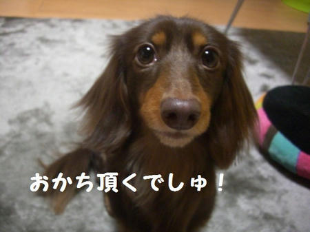 9f2b07d2.JPG