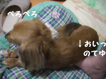 7a1c340f.JPG