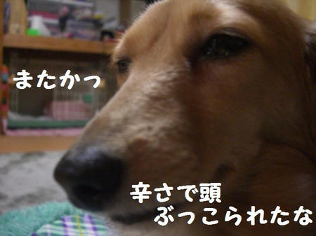 93482edd.JPG