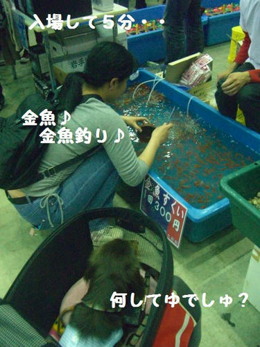 CIMG4712.JPG