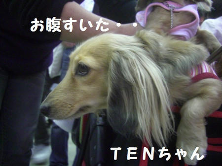 CIMG4714.JPG