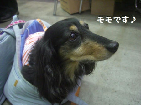 CIMG4718.JPG