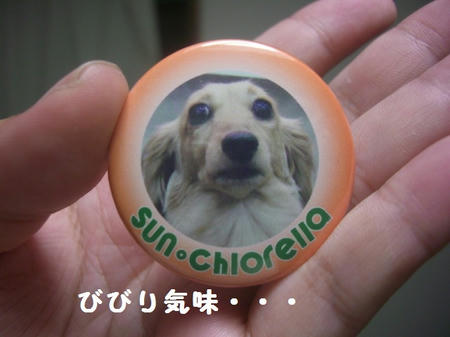 CIMG4736.JPG
