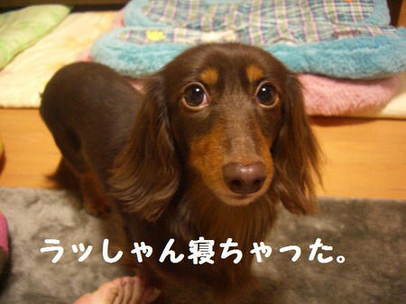 2ec6f9e9.JPG