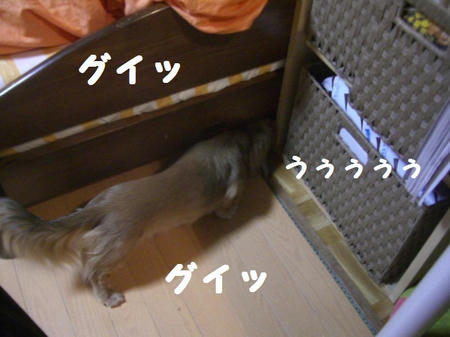 CIMG5284.JPG