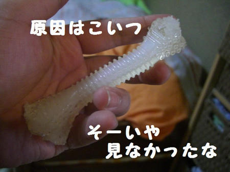 CIMG5285.JPG