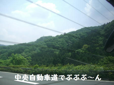 CIMG5382.JPG