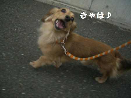 CIMG5454.JPG