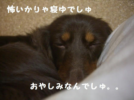 CIMG5615.JPG