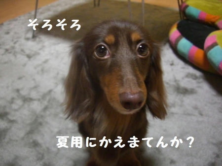 CIMG5670.JPG