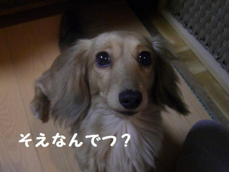 CIMG5683.JPG