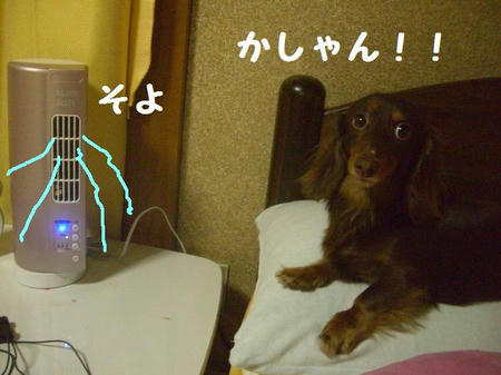 CIMG5692.JPG