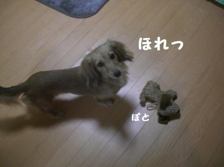 CIMG5728.JPG