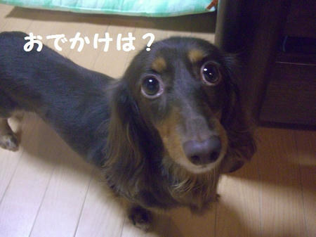 483f968c.JPG