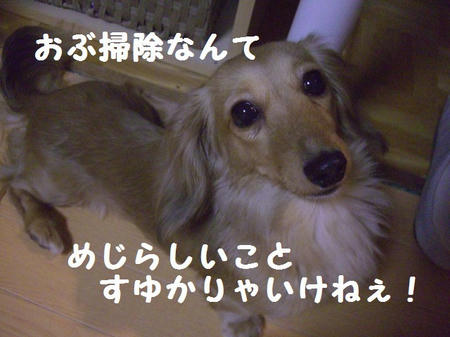 CIMG5755.JPG