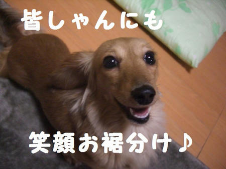 CIMG5940.JPG