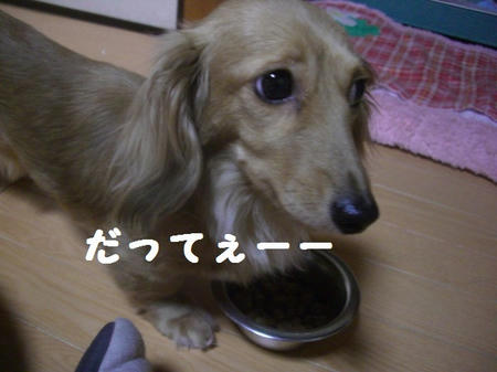 408565ee.JPG
