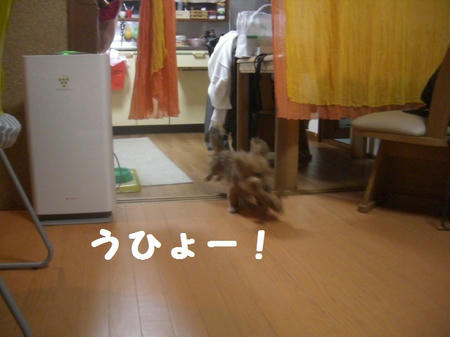 26a97a8a.JPG