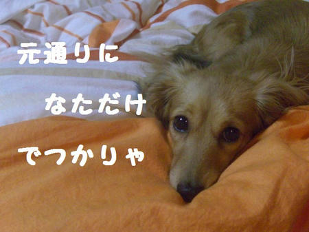 CIMG5980.JPG