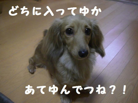 CIMG6012.JPG