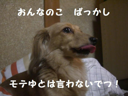 CIMG6191.JPG