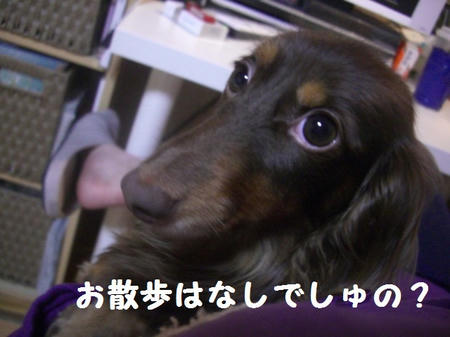 9937066d.JPG