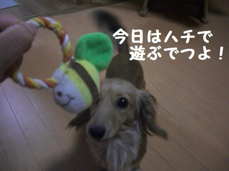 55a01120.JPG
