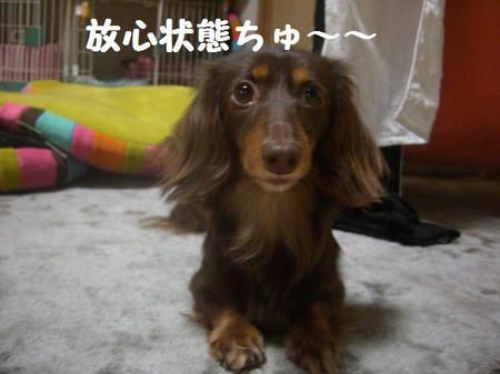 8c674491.JPG