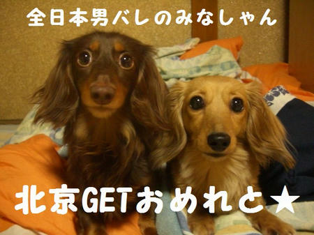 CIMG6383.JPG