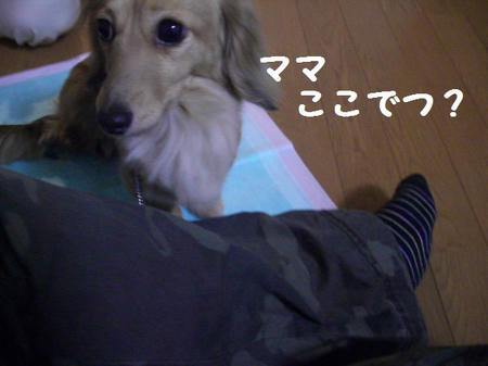 CIMG3780.JPG