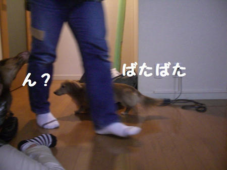 5b13f2f0.JPG