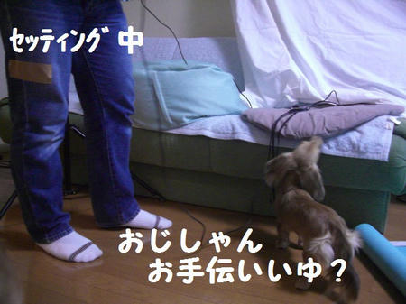 3dd040f4.JPG