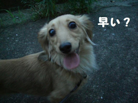 CIMG6684.JPG