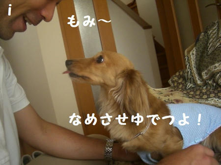 CIMG6540.JPG