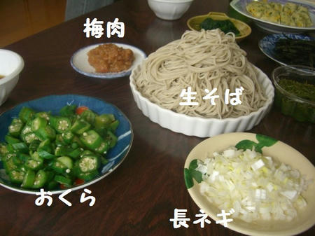 CIMG6545.JPG