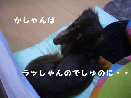 CIMG6747.JPG