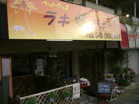 CIMG6964.JPG