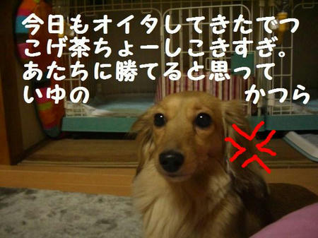 CIMG7018.JPG