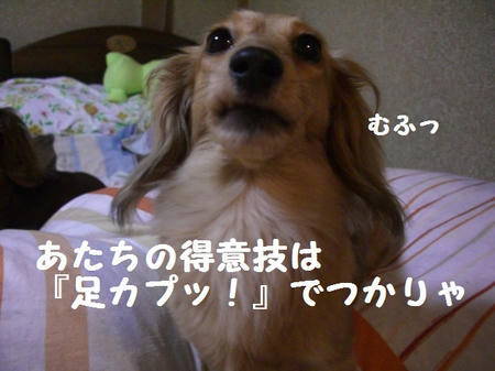 CIMG7138.JPG