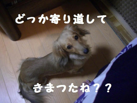 e581e27f.JPG