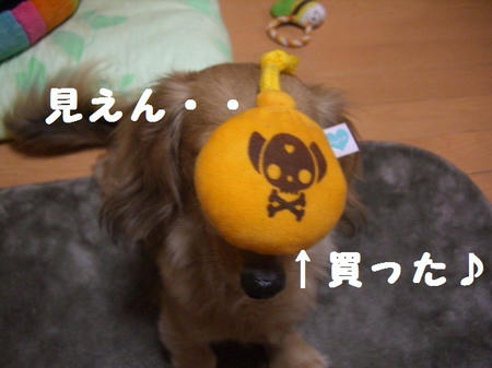 CIMG7200.JPG