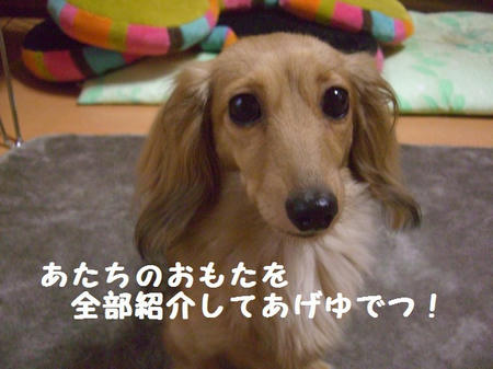 CIMG7302.JPG