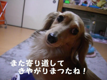 CIMG7398.JPG