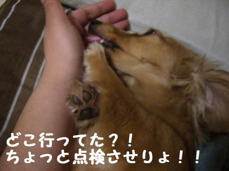 CIMG7399.JPG