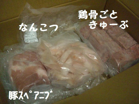 1fc5839a.JPG