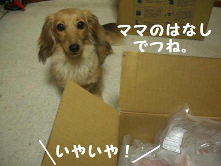 4224aa55.JPG