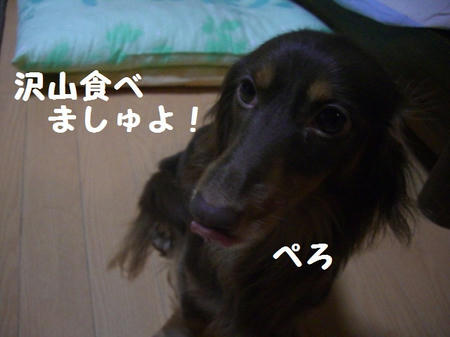 9bb07f19.JPG