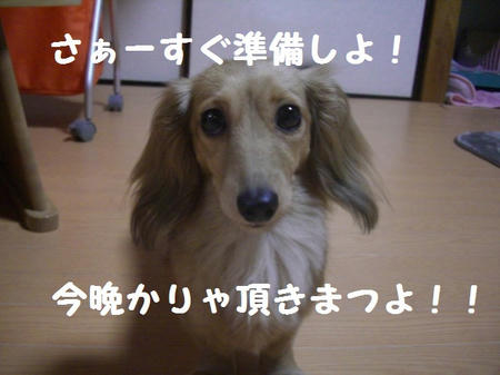 CIMG7457.JPG