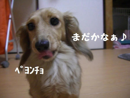 CIMG7458.JPG